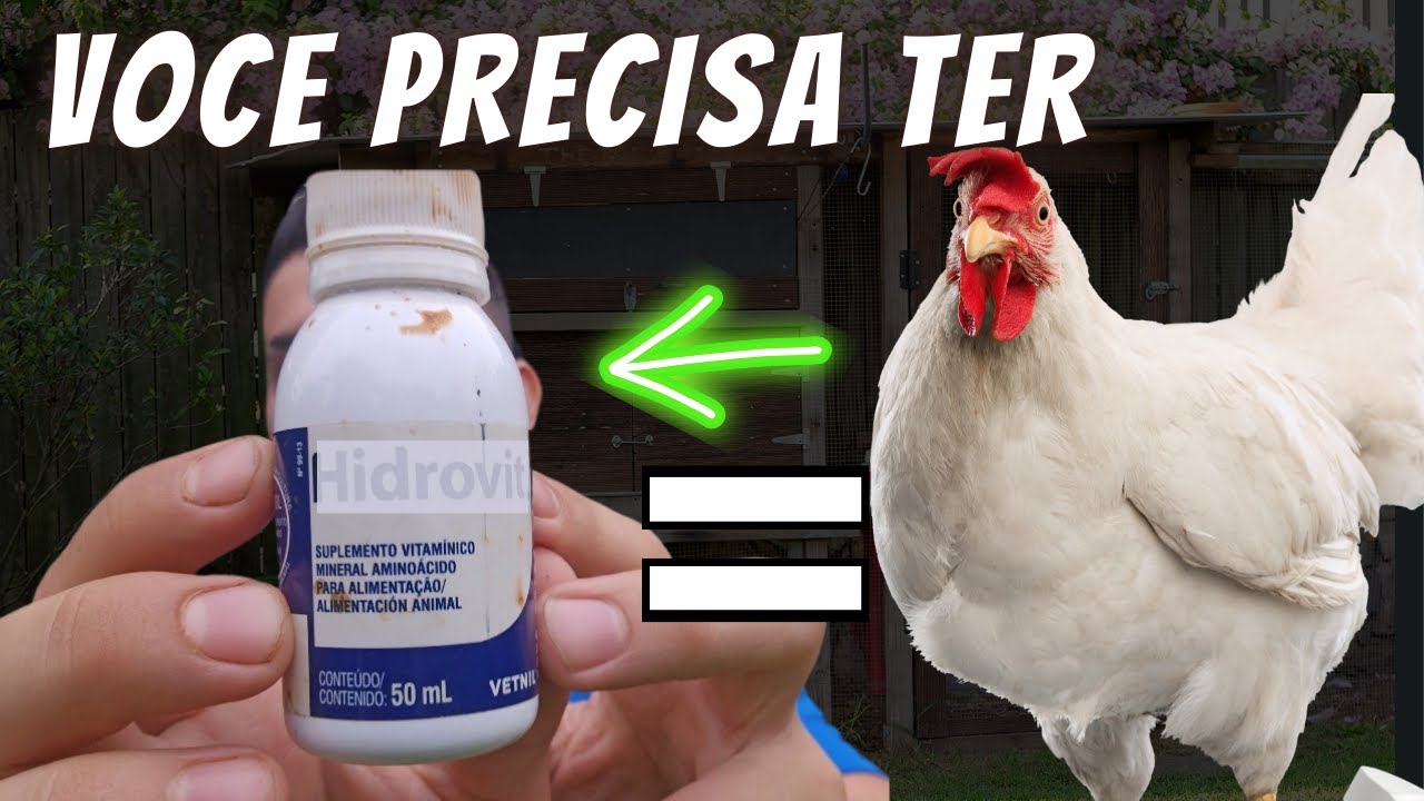 VITAMINA BOMBA PARA A SAÚDE DAS SUAS AVES, ACABA COM A PERNA BAMBA, PEITO SECO, E OUTROS PROBLEMAS