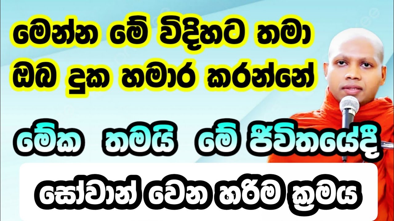 මේක තමයි මේ ජිවිතයේදී සෝවාන් වෙන හරිම ක්‍රමය | Hasalaka Seelawimala Thero | හසලක සීලවිමල හිමි |  
