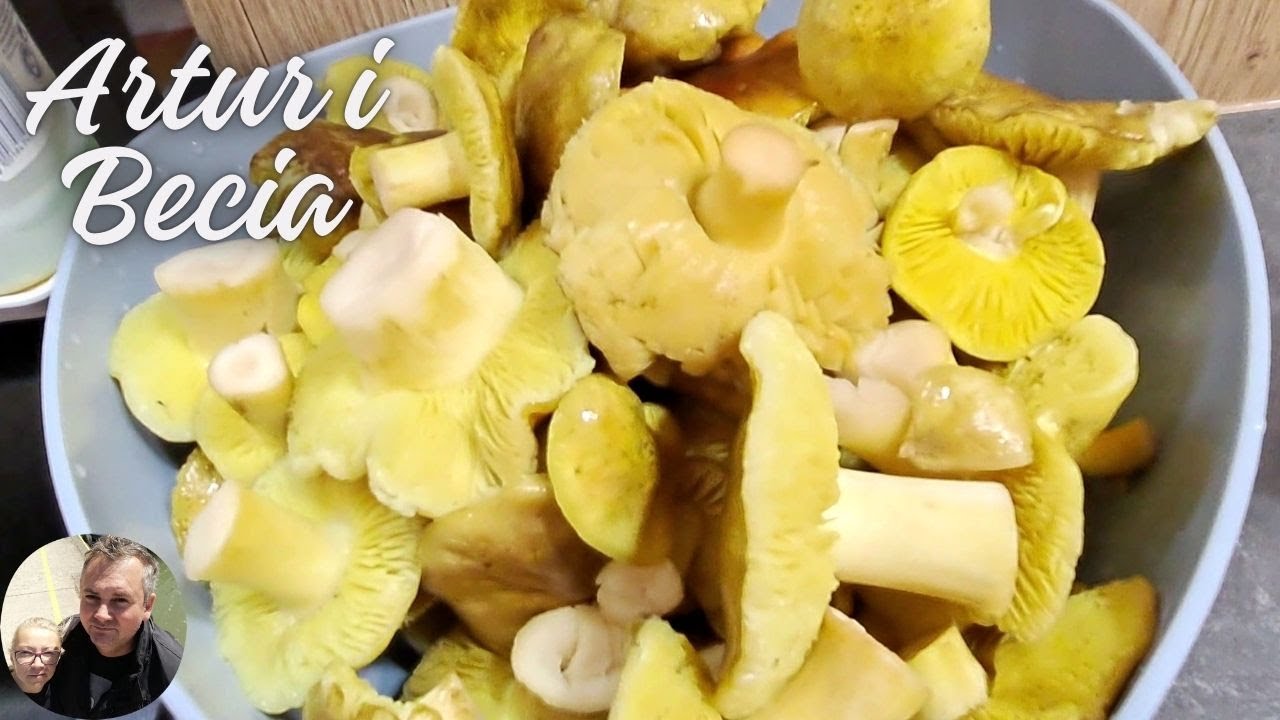 Byliśmy na spacerze w lesie, a tu tyle grzybów🍄🍄🍄 Pytanie od Beci???