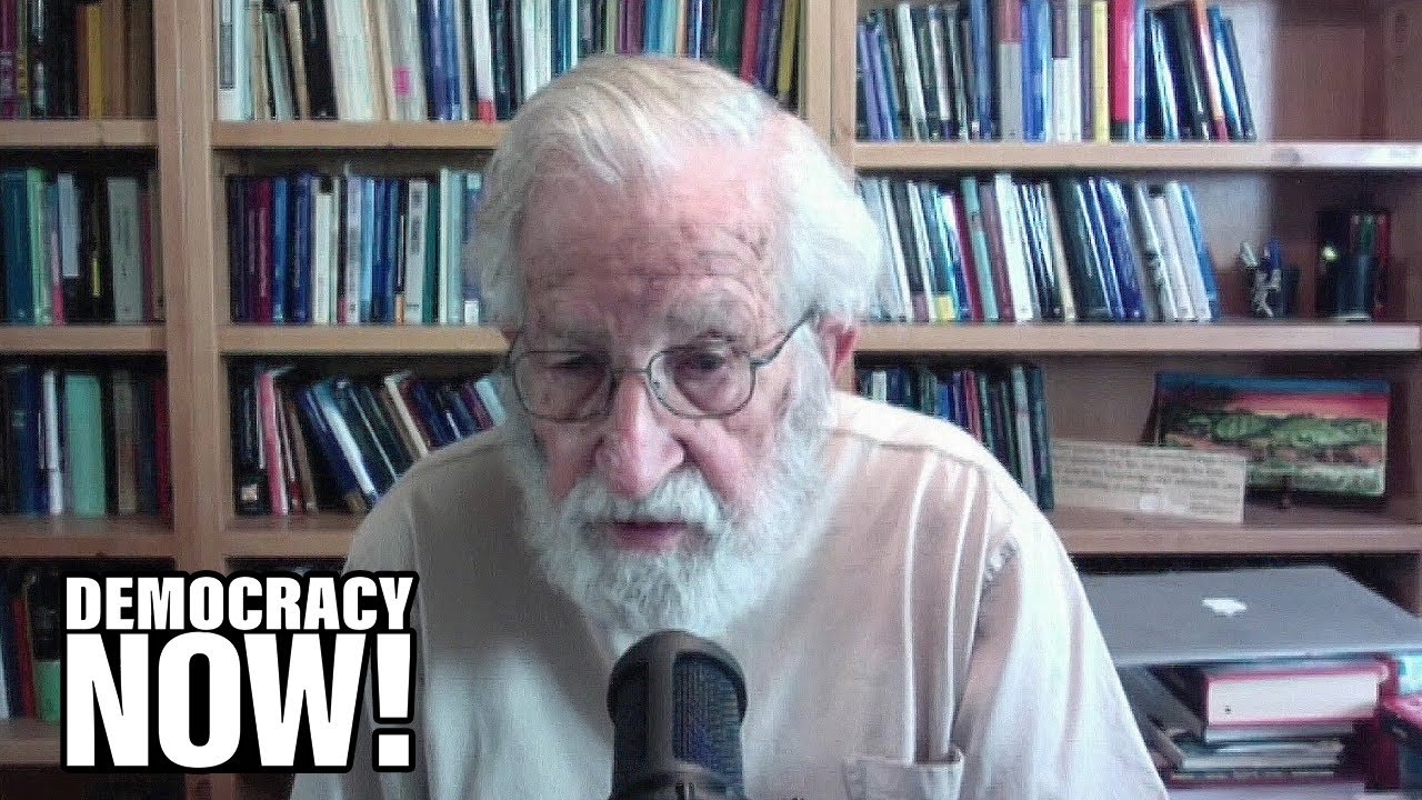 Noam Chomsky on Trump's Disastrous Coronavirus Response, WHO, China, Gaza and Global Capitalism
