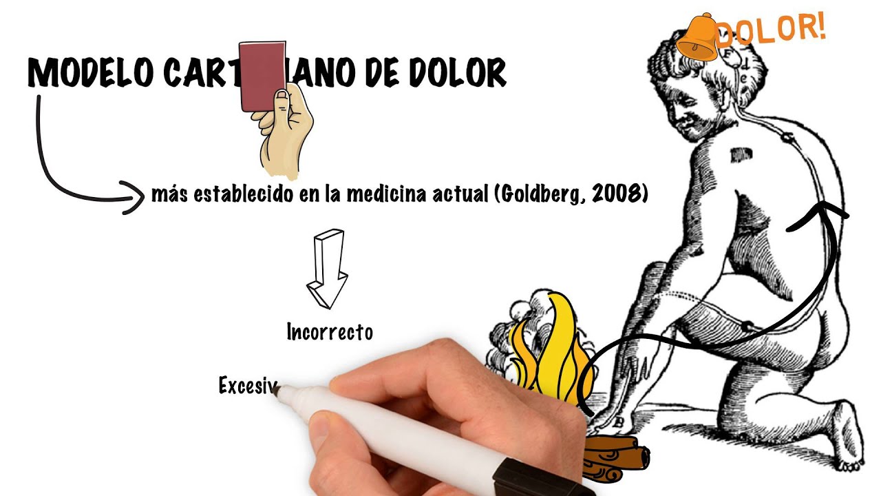 NEUROCIENCIA DEL DOLOR PARA ENTRENADORES. PARTE 1