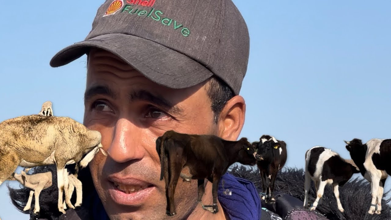 اعتذر إن تسببت لكم في البكاء من خلال هد الكساب وما قاله عن إلغاء عيد الأضحى2025🇲🇦 و معناته مع الجفاف