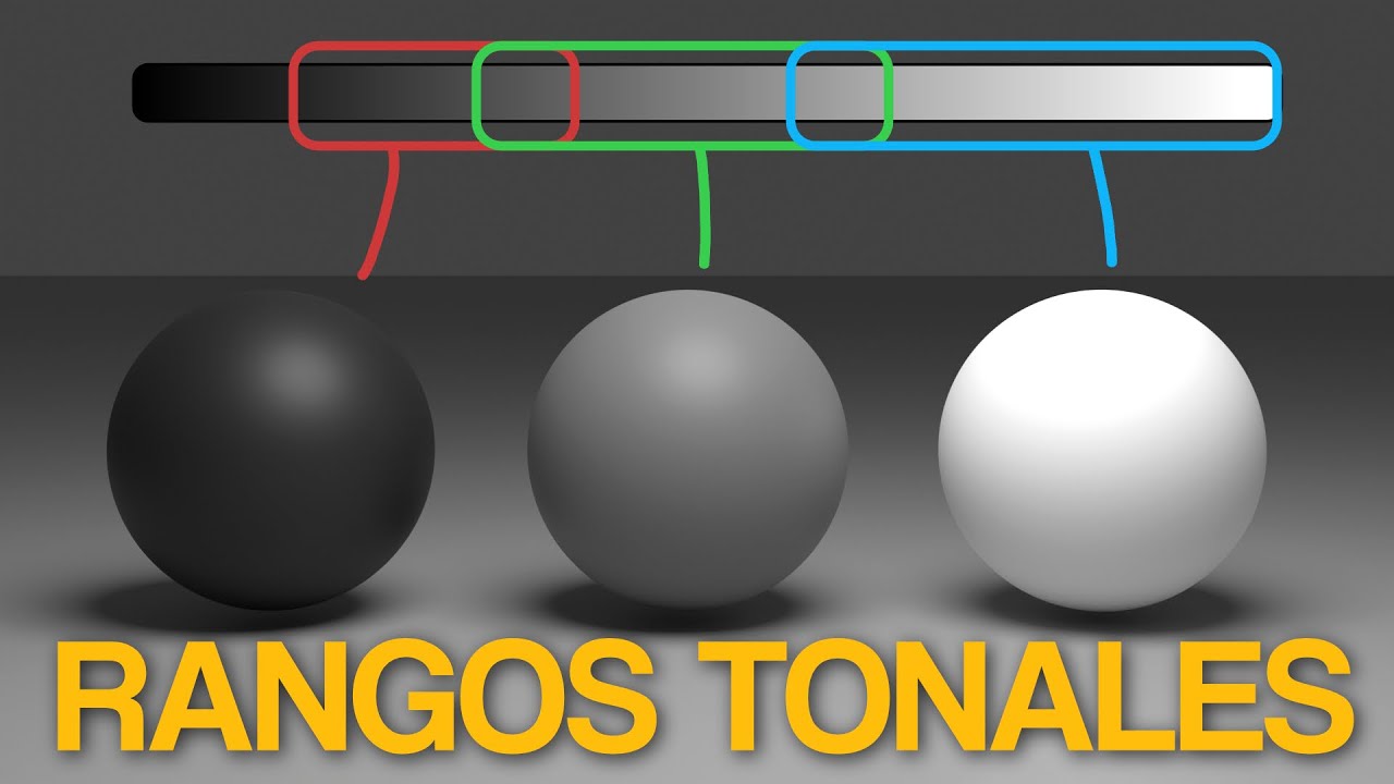 APRENDE A SOMBREAR | Rango dinámico y Valoración tonal | Dibujo y pintura