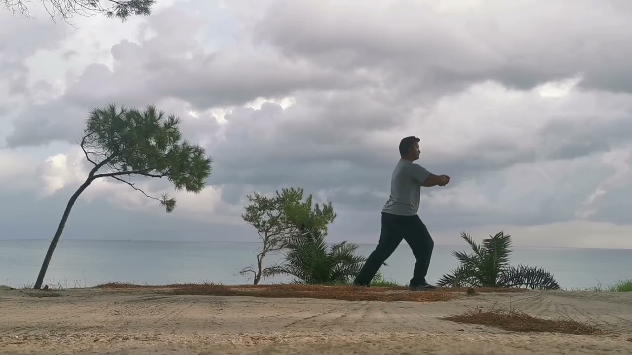 Taichi Yang Style 8 form 
