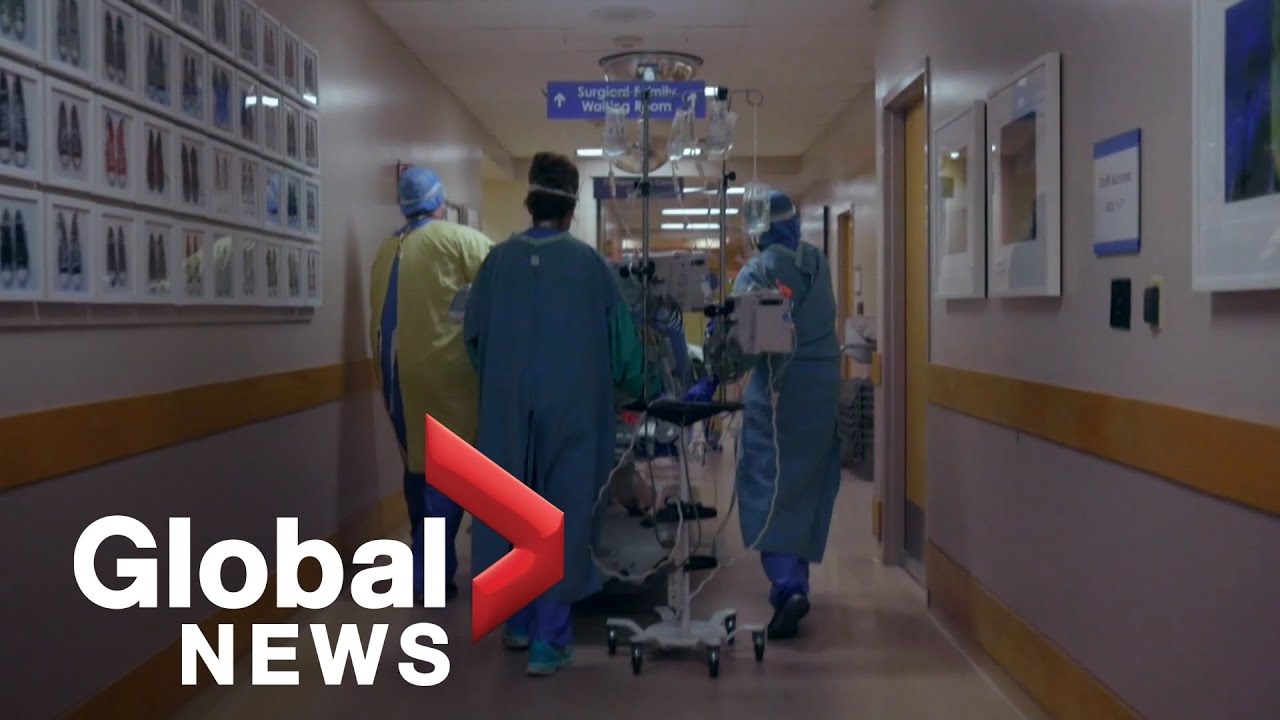 COVID-19: Unvaccinated nurses speak out about concerns mandate will impact patient care