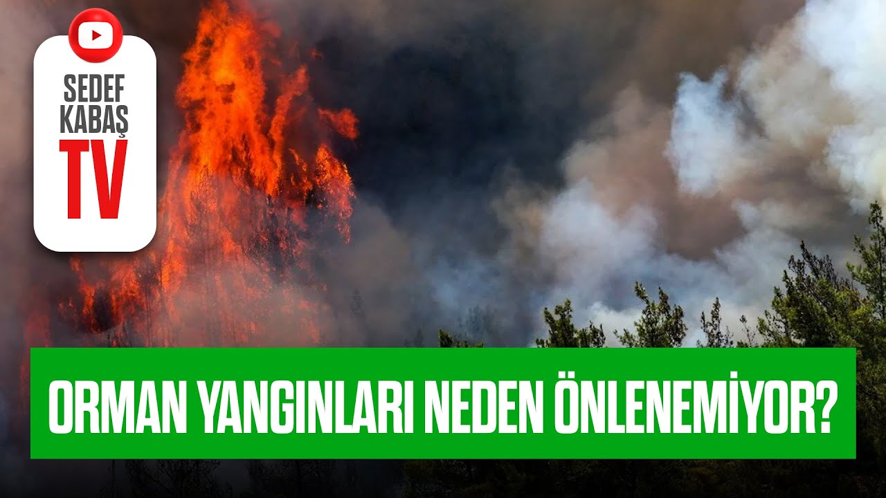 ORMAN YANGINLARI NEDEN ÖNLENEMİYOR? | Evrim Rızvanoğlu