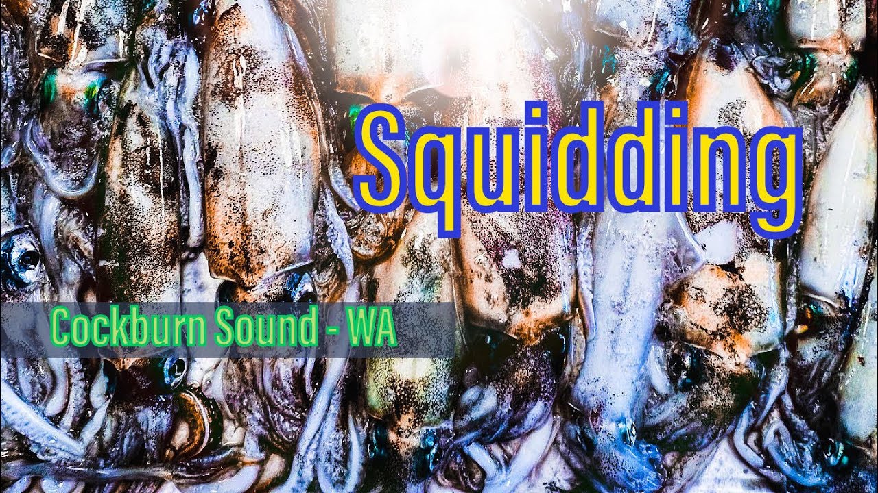 Squidding - Cockburn Sound, WA