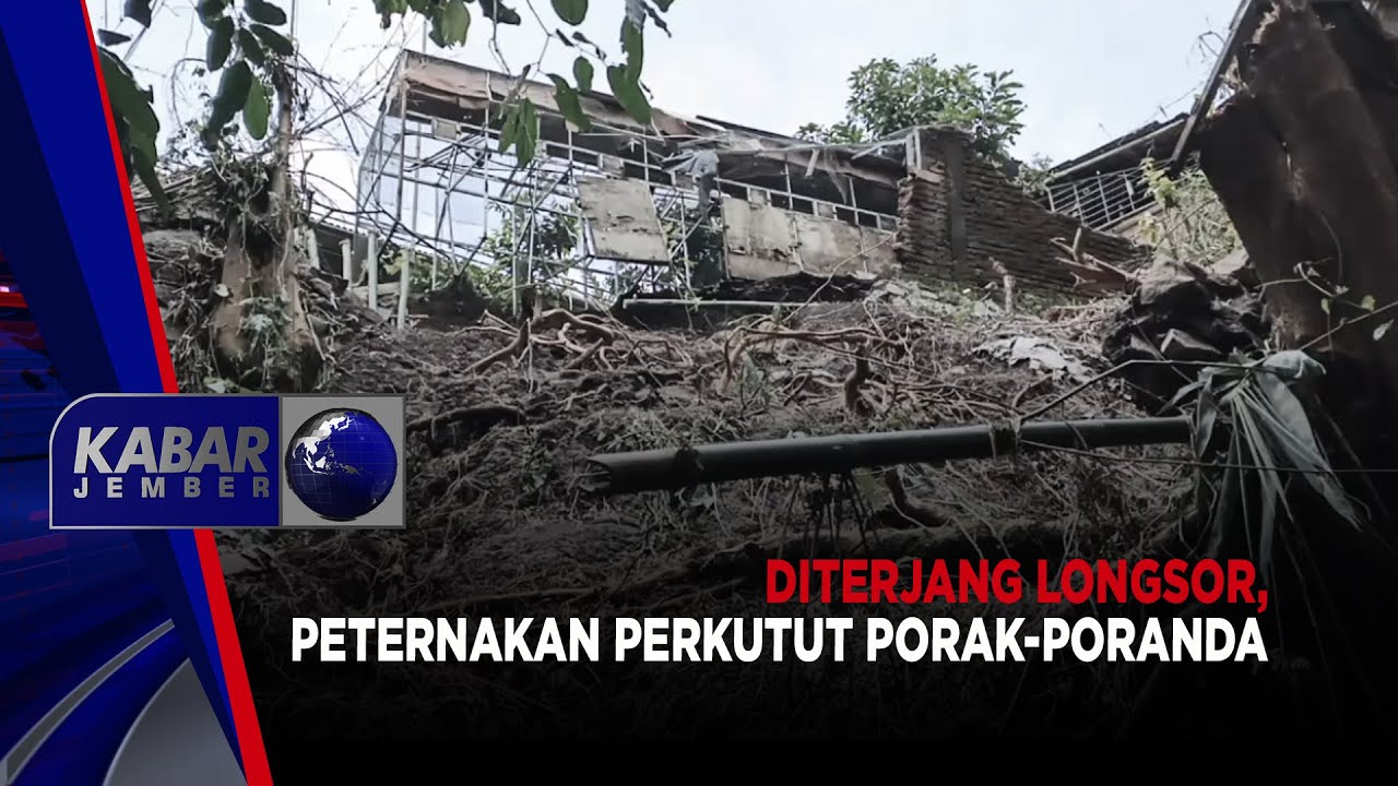 Diterjang Longsor, Peternakan Perkutut Porak-Poranda | KABAR JEMBER
