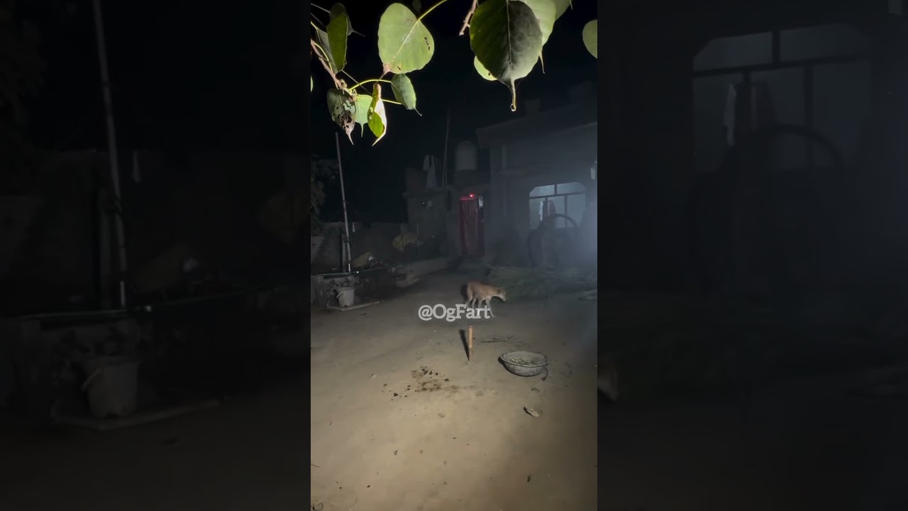 Ghost Caught on Camera.. #spiritmancomedy #comedyfilms #spiritman #funny #funnycomedy #thespiritedm