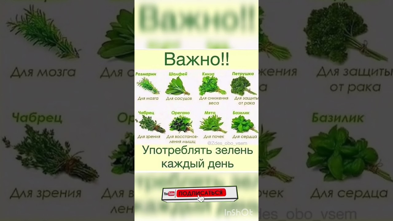 Зелень в рационе питания. #здоровье #долголетие #диета #польза #стройность #зелень #салат