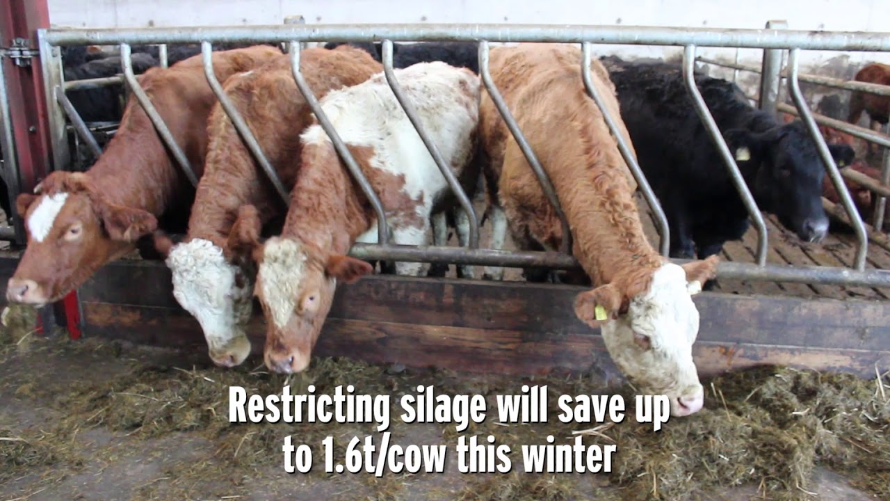 NI Better Farm: Declan Rafferty & Aidan Quinn, Pomeroy, Co Tyrone