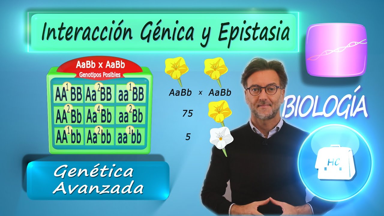 Interacción Génica y Epistasia.