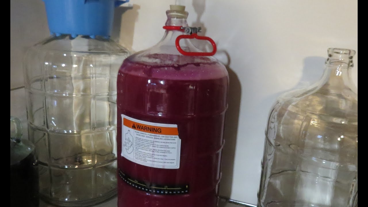 Making Concord Grape Wine 2016 Part1