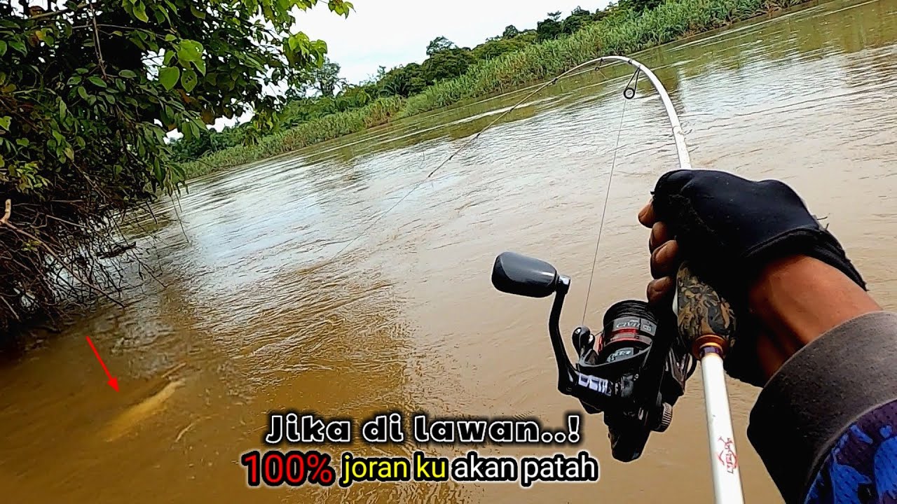 SANGAT KEJAM!!! Berkali² Jantungan Saat Umpan Mancing ku Di Sambar Ikan Ganas
