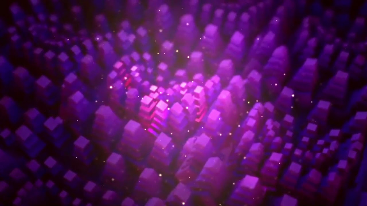 DENSE NETWORK by D.U.O. (Digital Unit Operated)