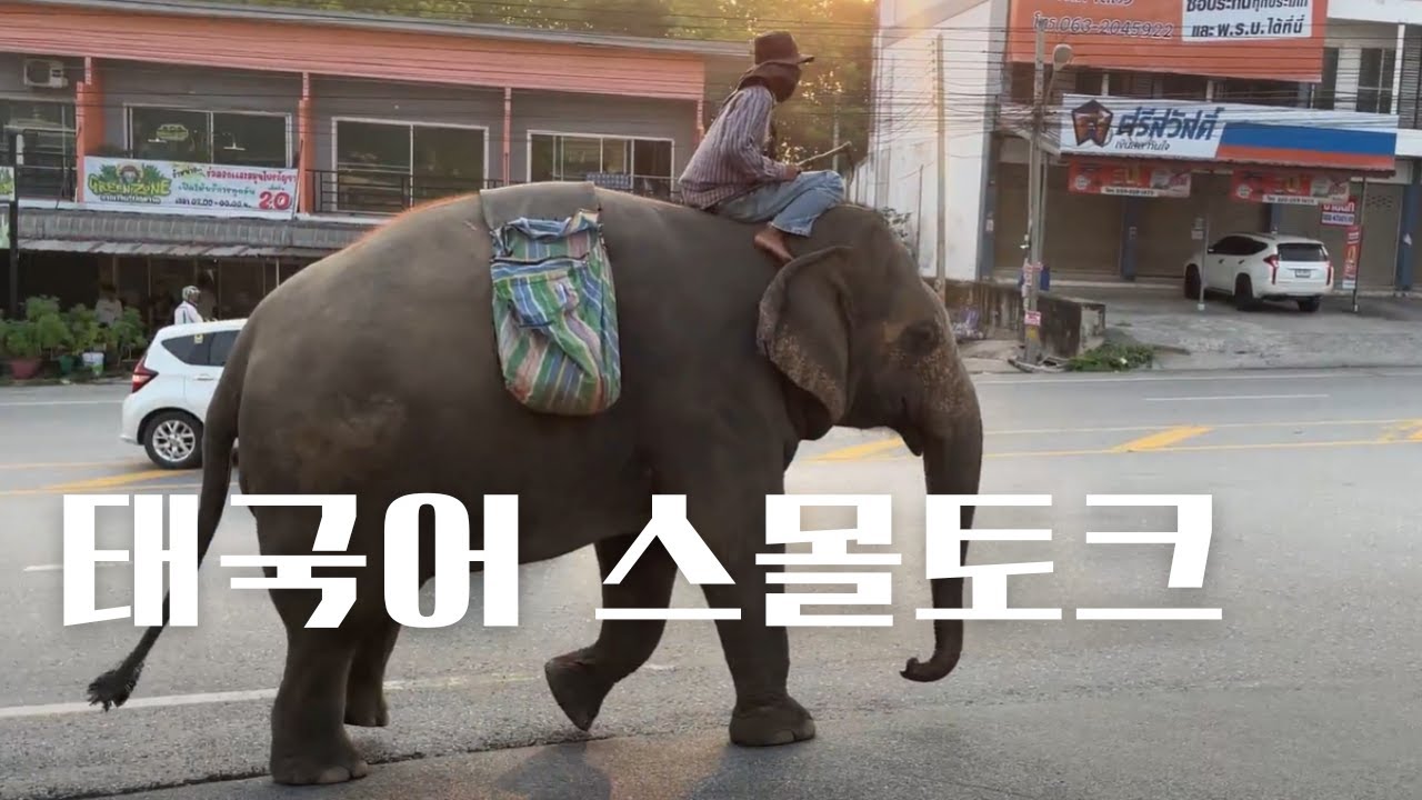 태국어 회화 대화문  일상에서 태국인과 매일 하는 스몰토크