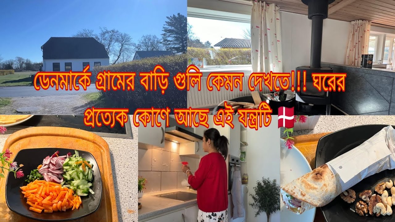 ডেনমার্কে গ্রামের বাড়ি গুলো কেমন দেখতে??আমাদের ঘরের প্রত্যেক কোণে আছে এই যন্ত্রটি 🇩🇰 #bengalivlog