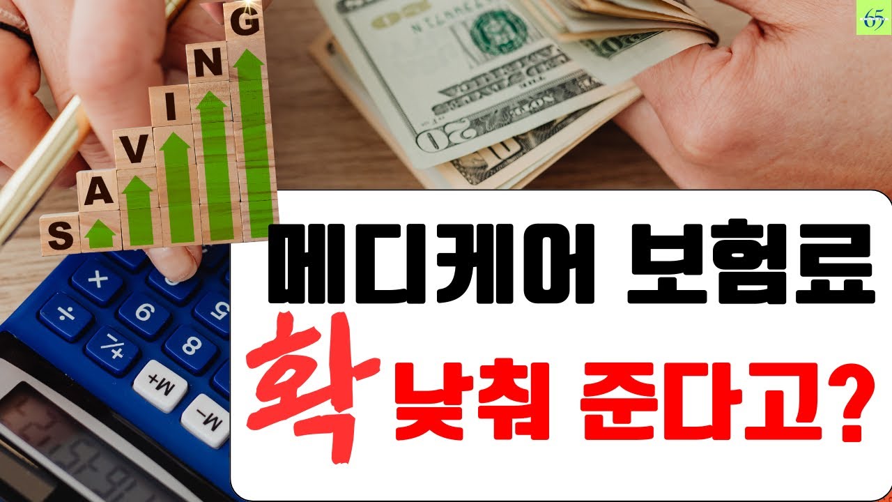 매달 $202.90 부담되실때 보는 영상 /1961년생 필수시청/ 한국시니어 현실소득