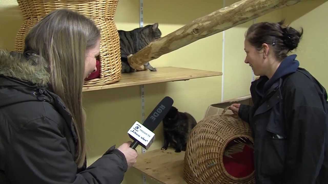 Tierfreunde Folge 2