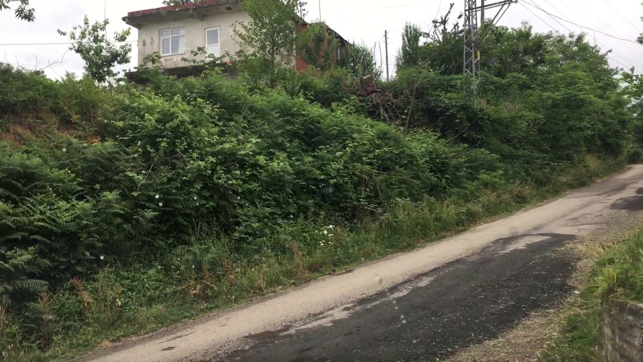 Samsun terme erenköy