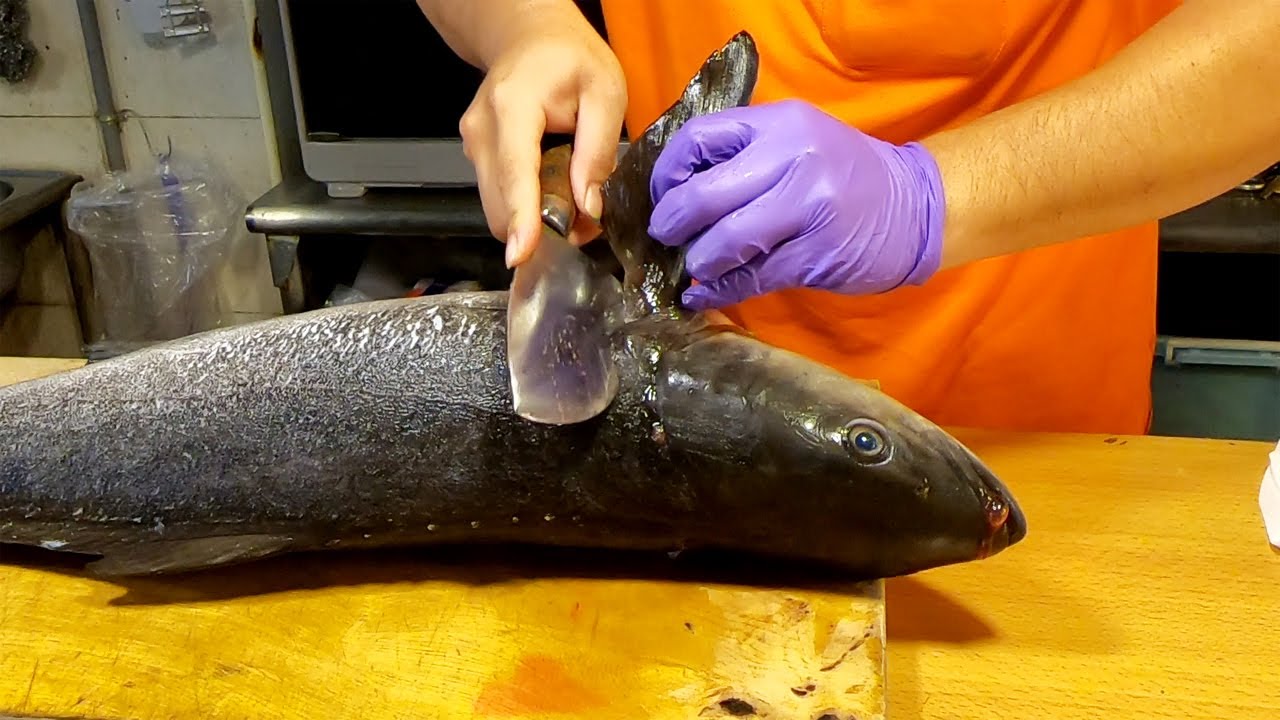 How To Fillet A Whole Cobia海鱺魚切割 (Black Kingfish)& Sashimi - Taiwanese Street Food