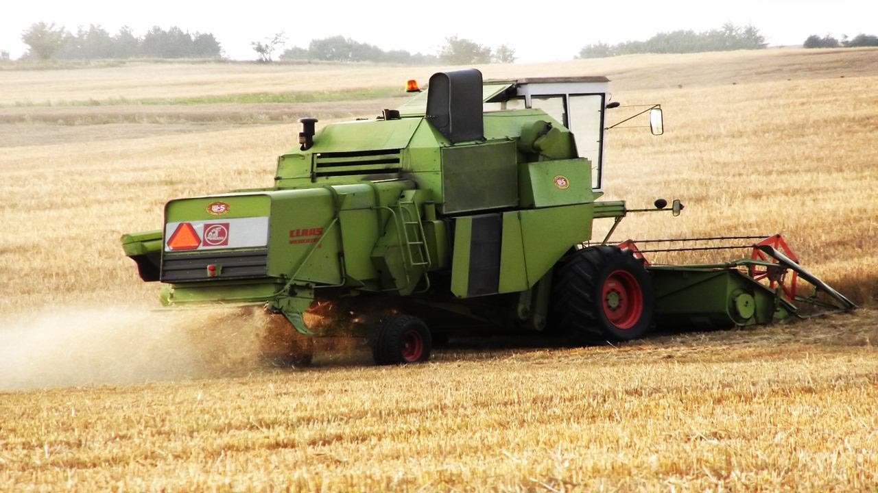Jęczmień Jary ! Claas Mercator 75 & MF 3080