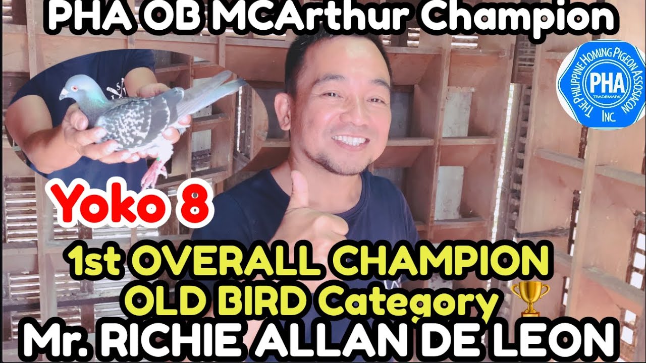 PHA OB MCArthur Champion 1st Overall Champion Old Bird Category YOKO 8 Mr. RICHIE ALLAN DE LEON
