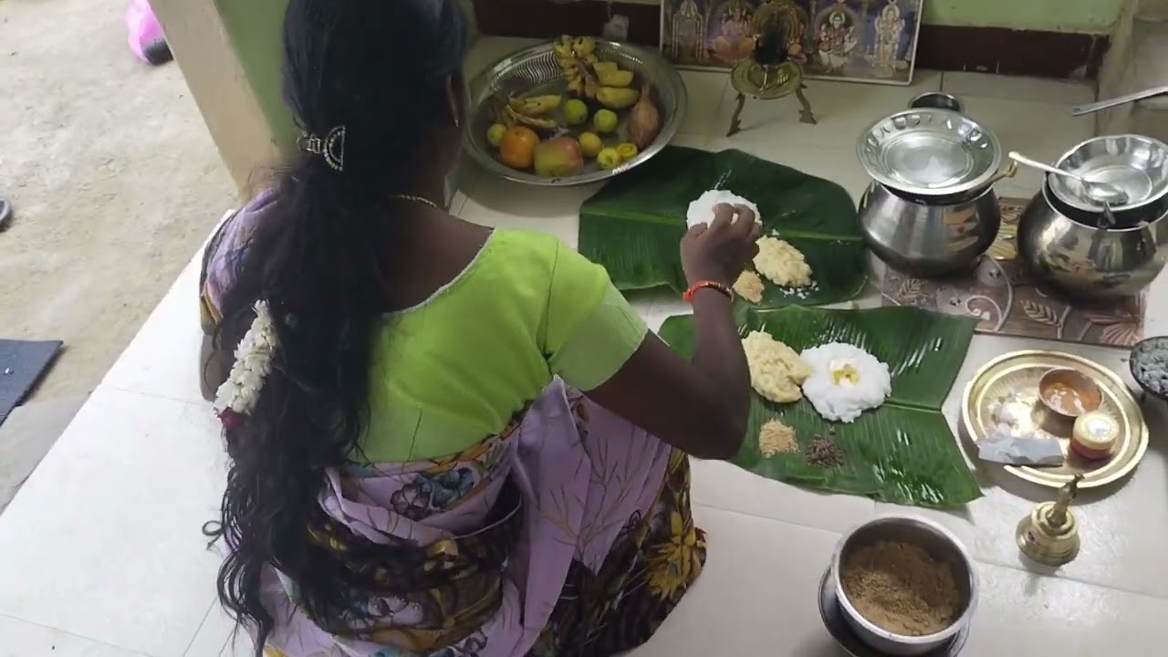 பொங்கலுக்கு எடுத்த வீடியோ பாருங்க#subscribe 