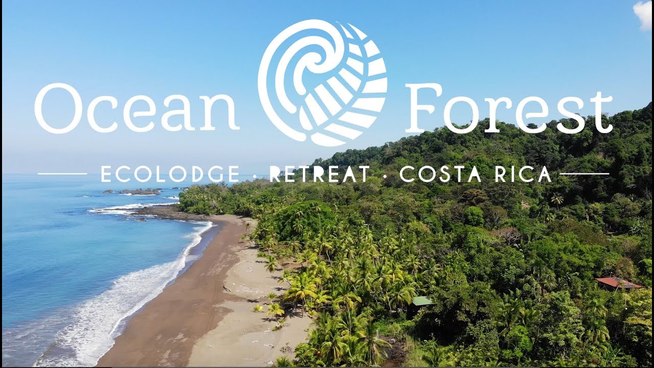 Experience Ocean Forest Ecolodge Retreat Costa Rica