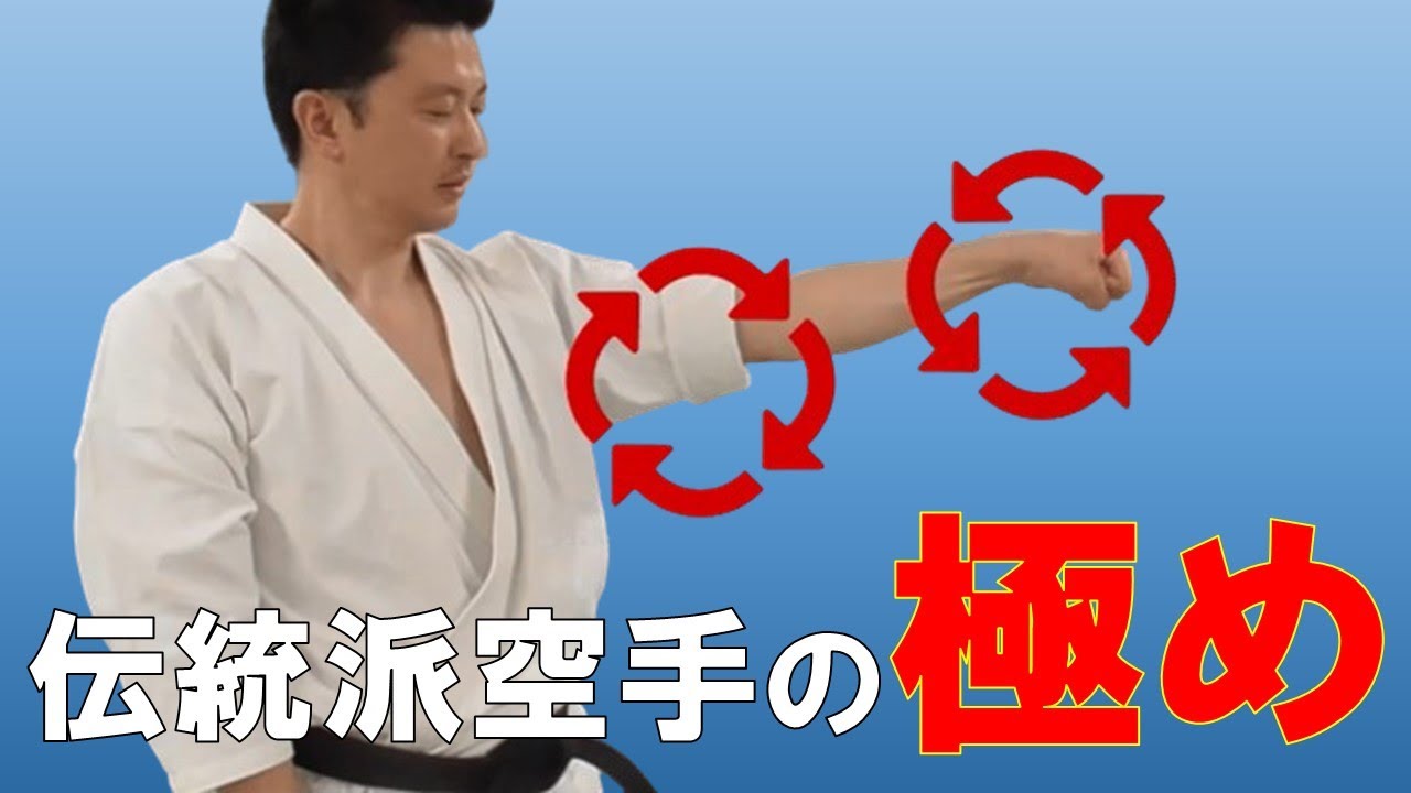 伝統派空手の“極め（きめ）”とは何か？【地上最強の伝統派カラテ2】