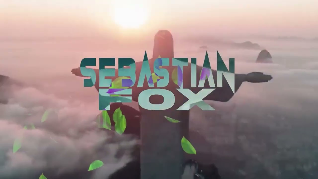 EL ZORRO EN LA FAVELA - SEBASTIAN FOX ( GUARACHA, COJO, ZANDUNGUEO, CIRCUIT)