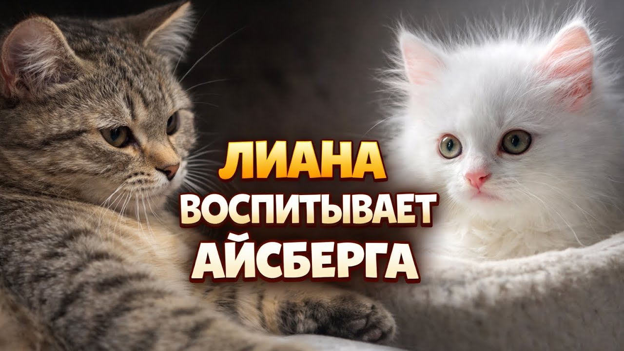 Поединок Лианы и Айсберга)