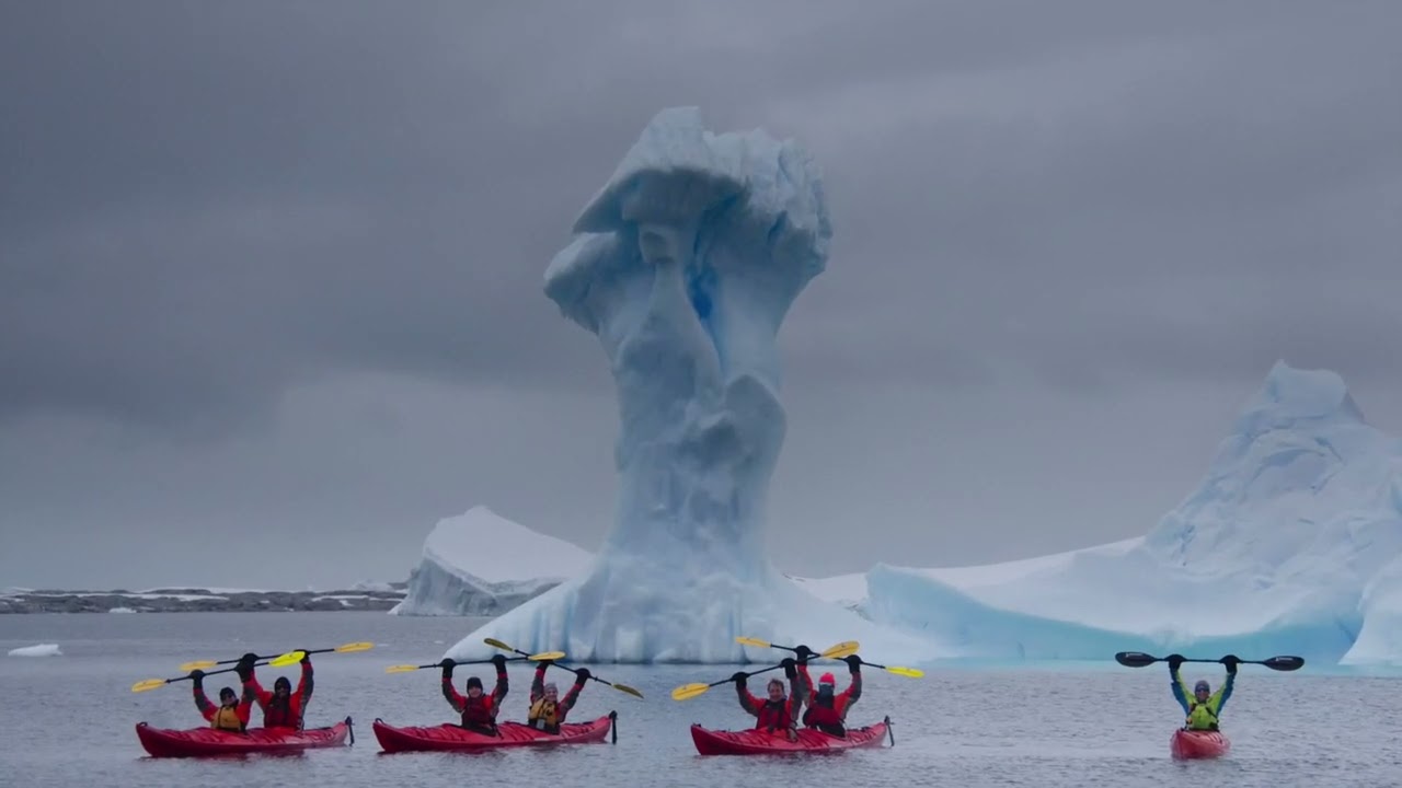 Whales, Penguins, Seals and Ice, Antarctica 2024