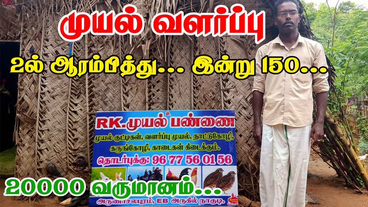 முயல் வளர்ப்பு முறைகள் | Rabbit farm in tamilnadu | VILLAGE TAMIZHAN
