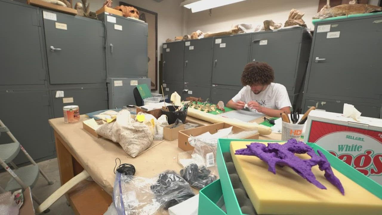 Paleontology and origami? Yes, an SMU student is building a career with both