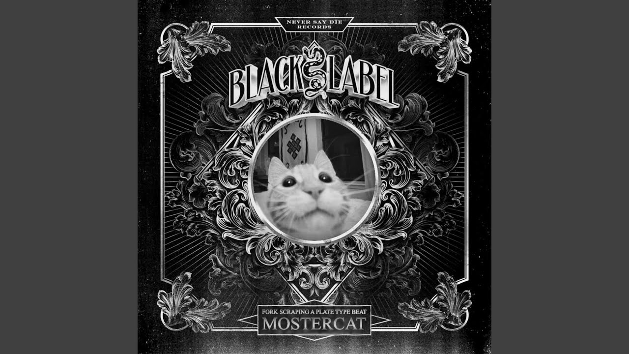 Fork Scraping a Plate Type Beat