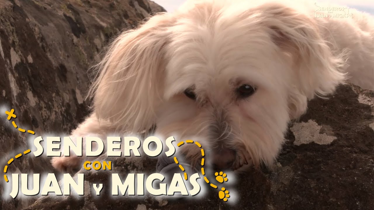 Senderos con Juan y Migas - Mina de la Jayona | La2