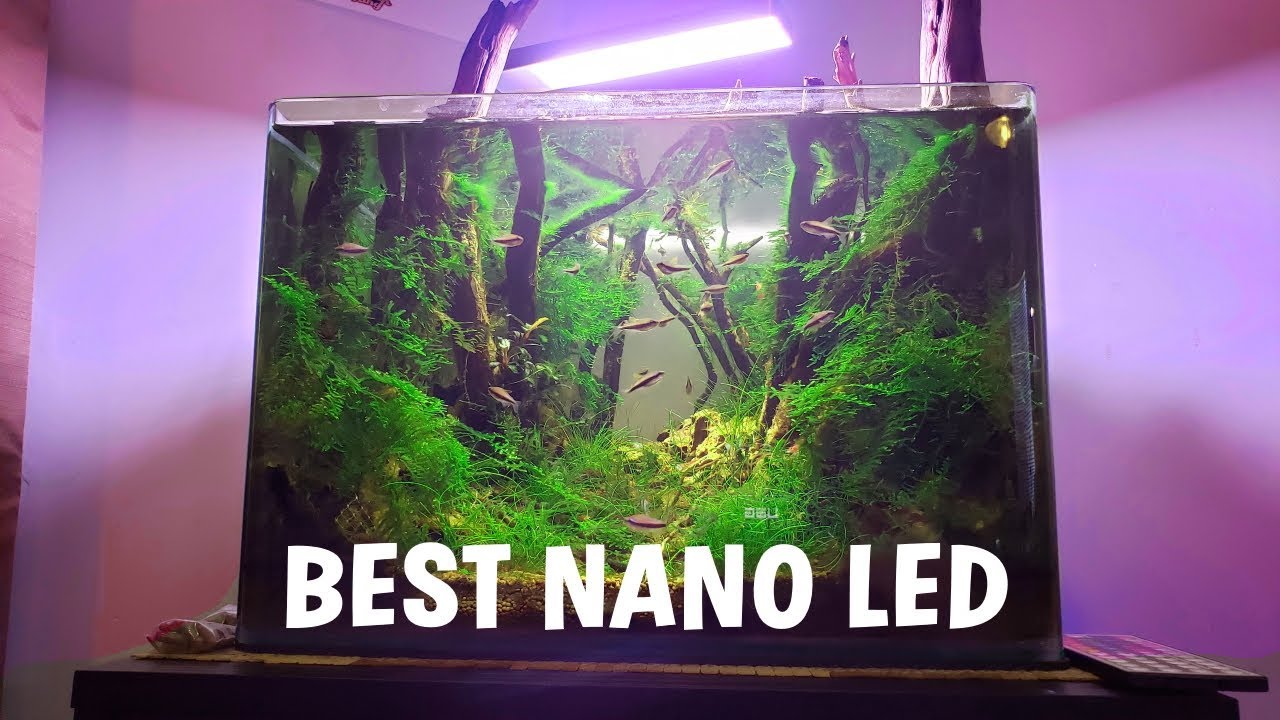 I Found The Best Nano Tank Aquarium LED! ONF Flat Nano Review