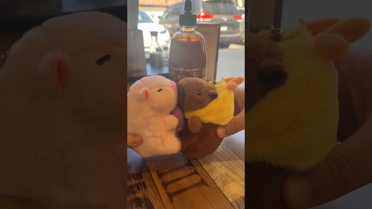 Capybara plush keychain 😍 #capybara #animals #capyfun #viral #kawaii #cute #animallover #funny