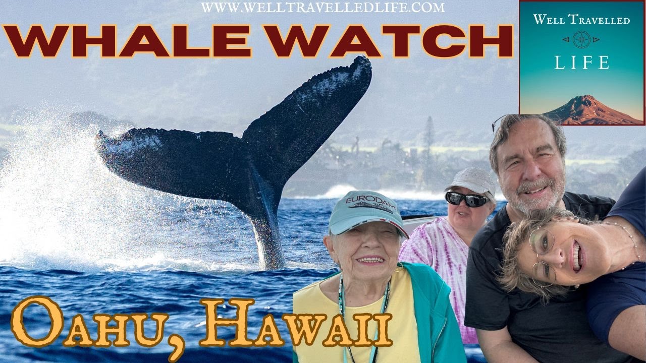 Whale Watching Spectacle in Oahu, Hawaii