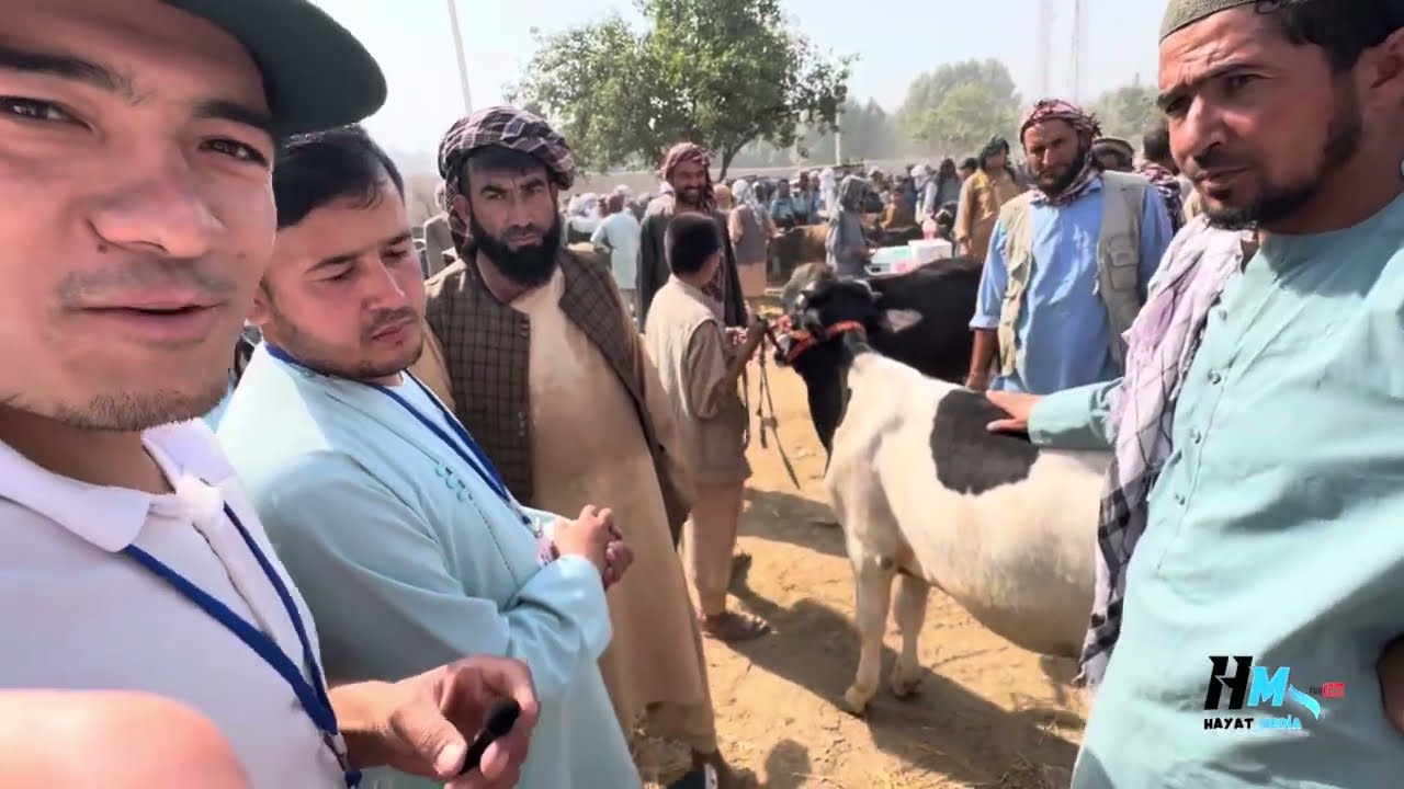 AFG’ONİSTON MOL BOZORIDAGI NARX-NAVOLAR