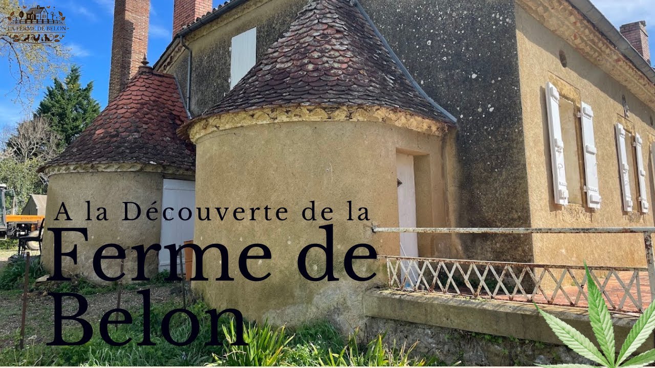 Ferme de Belon - Ferme de CBD