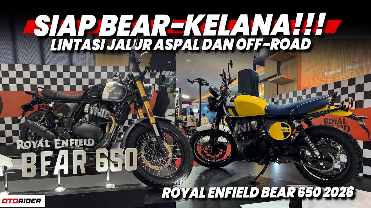 Royal Enfield Bear 650 2026 - IIMS2026| Otorider