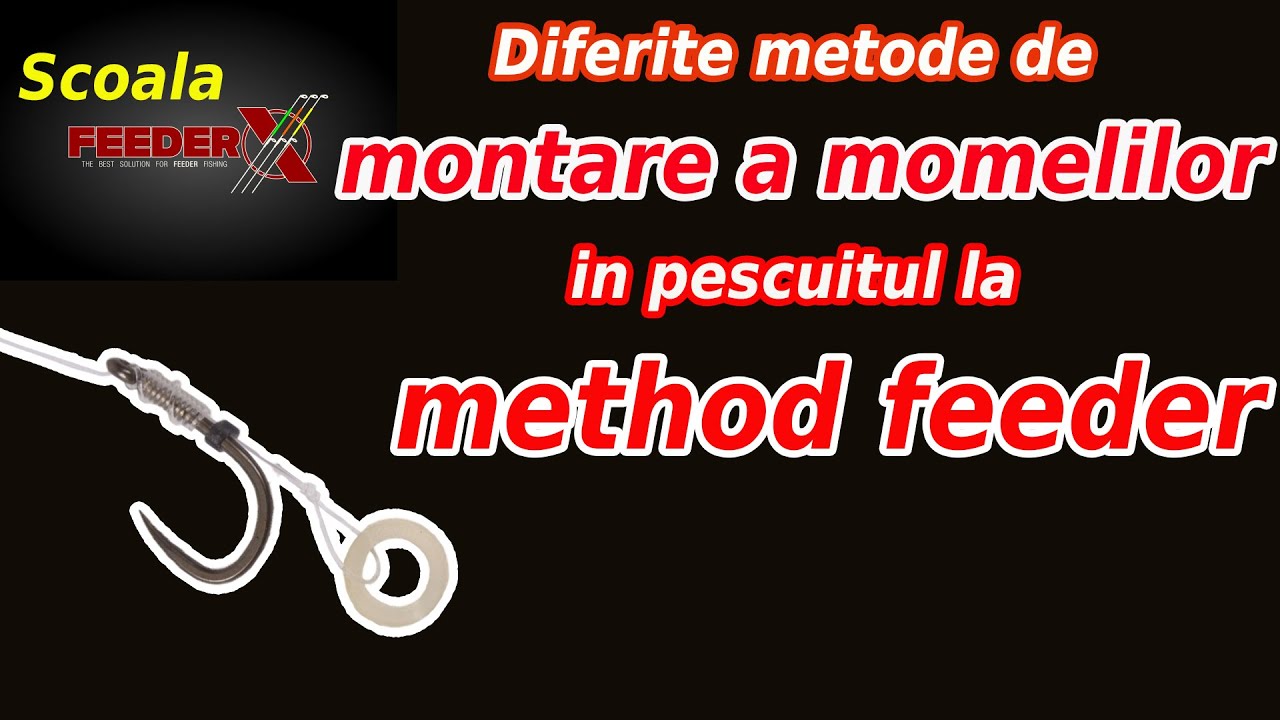 💯🖊💯 SCOALA FEEDERX 2.3 Secretele pescuitului la method feeder partea 7
