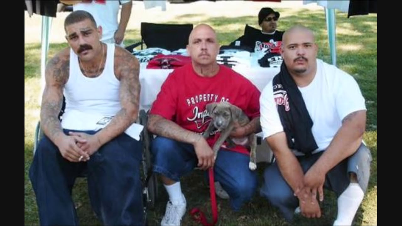Nortenos Generations deep