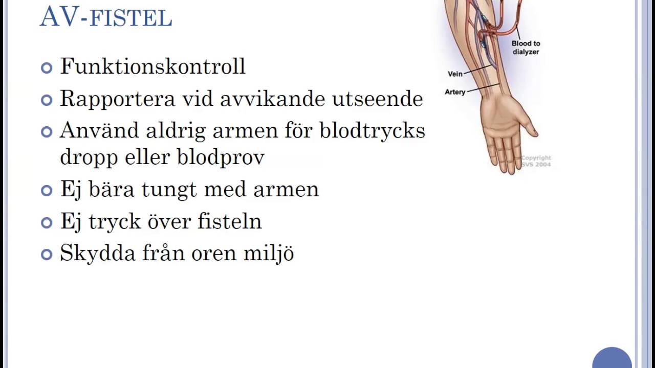 Urinorganens sjukdomar