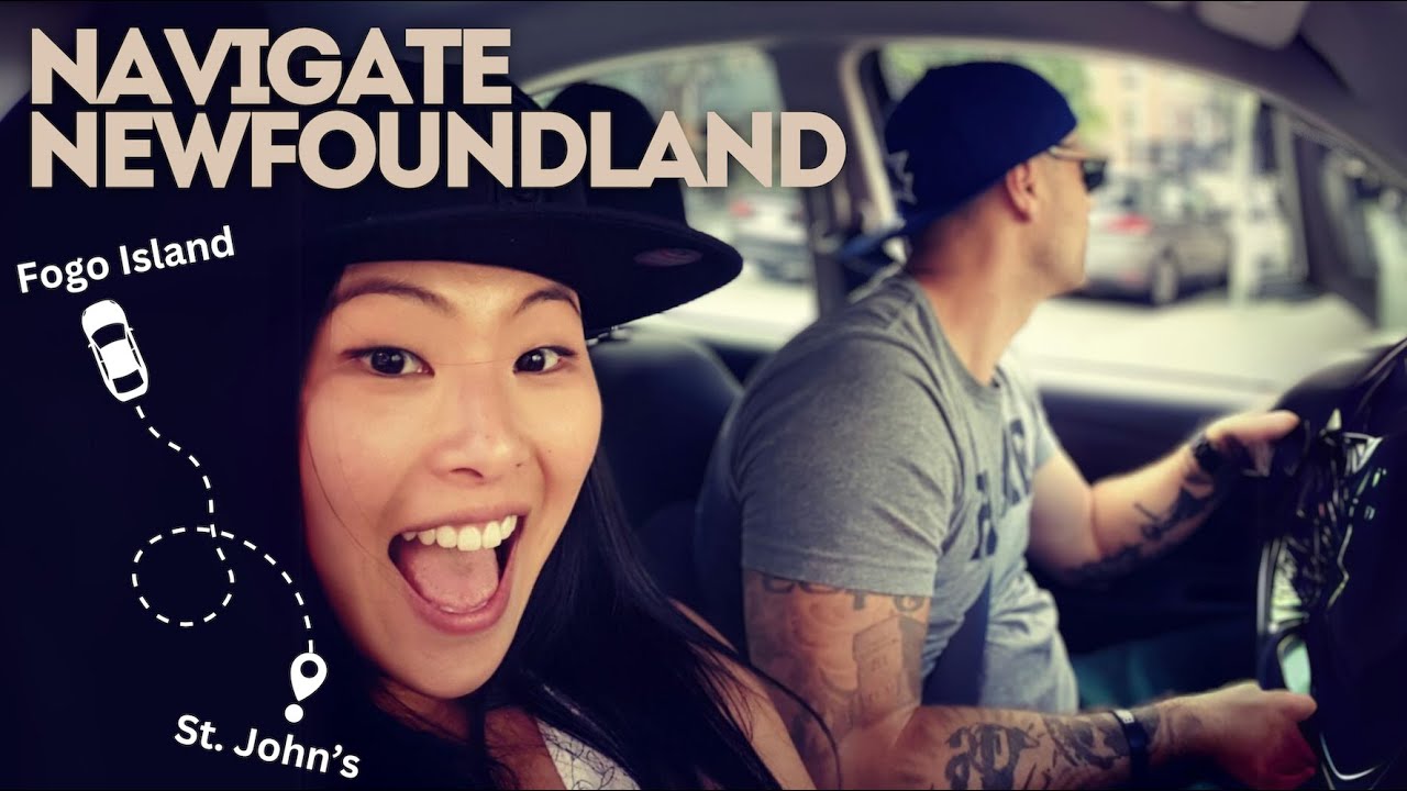 7 MUST-KNOW TIPS to Help Plan Your Newfoundland Road Trip