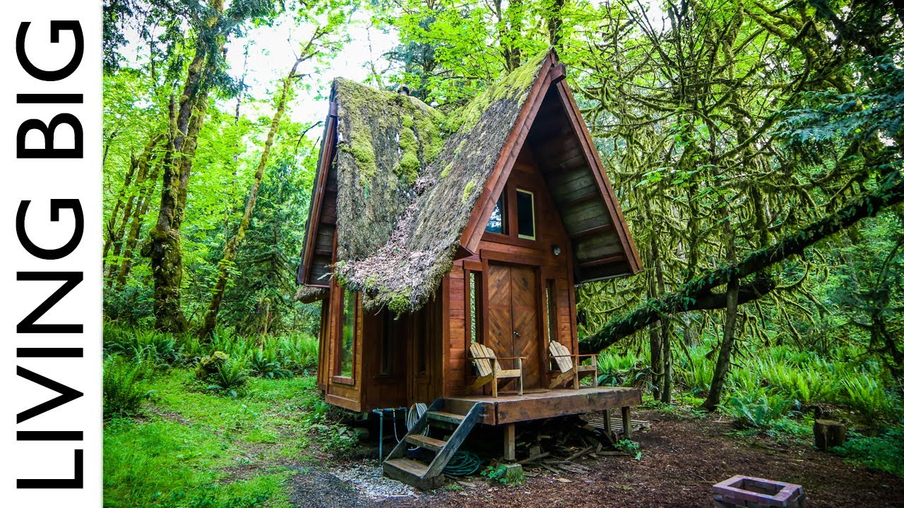 Enchanting Cabin In The Forest