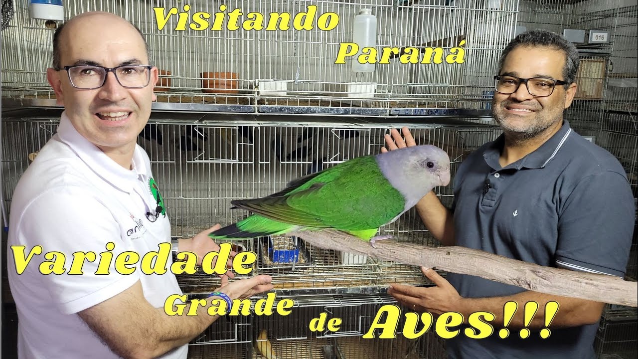 RODINEI COSTA E A ENORME VARIEDADES DE AVES!!!