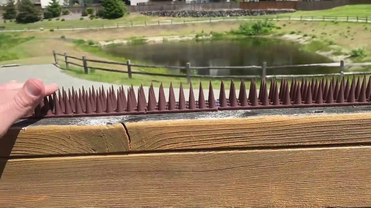 Шипы от птиц для забора &mdash; обзор Amazon